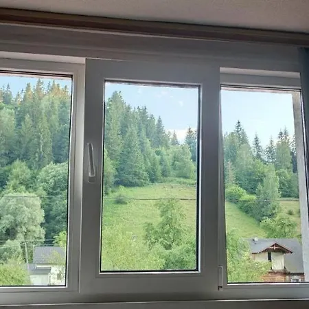 автентичний лофт в карпатах Guest house Krivorovnya