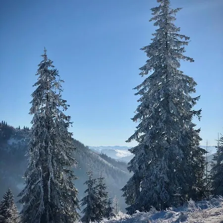בית הארחה автентичний лофт в карпатах *