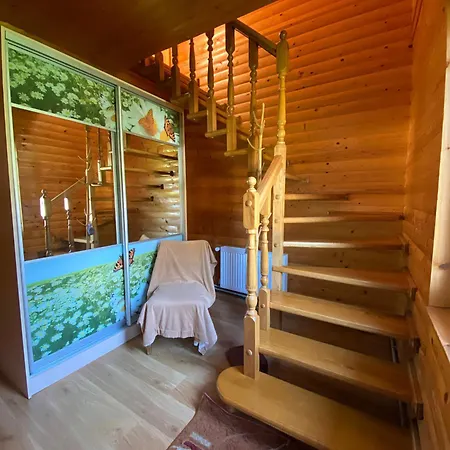 автентичний лофт в карпатах