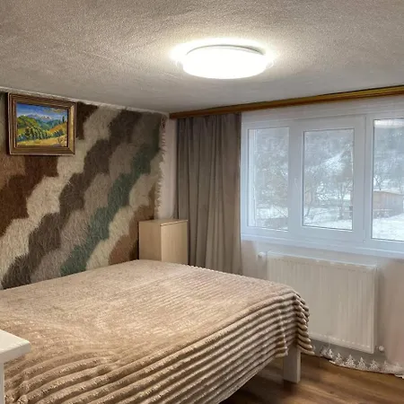 автентичний лофт в карпатах Guest house Krivorovnya
