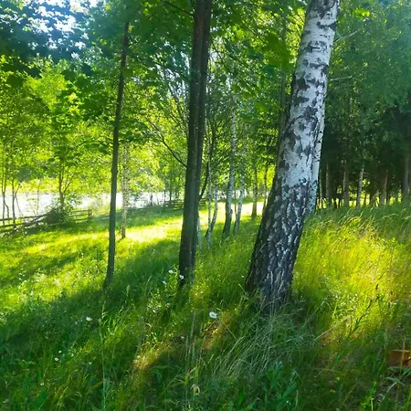 בית הארחה автентичний лофт в карпатах