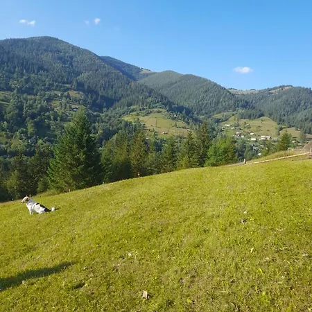 автентичний лофт в карпатах Gæstehus Krivorovnya