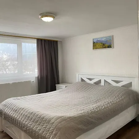 автентичний лофт в карпатах *