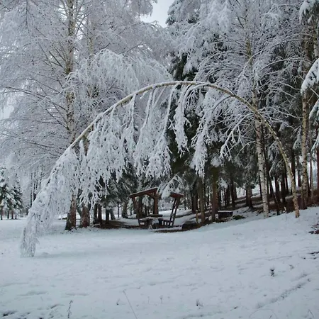 автентичний лофт в карпатах Krivorovnya