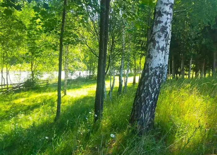 Vendégház автентичний лофт в карпатах